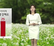 [날씨] 부산 초여름 더위 이어져…내일도 볕 강해요!