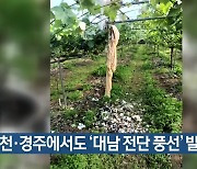 영천·경주에서도 ‘대남 전단 풍선’ 발견