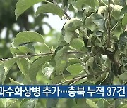 제천 과수화상병 추가…충북 누적 37건