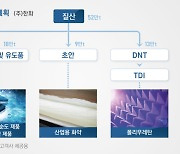 ㈜한화, 美서 암모니아 생산 추진…"청정 질산으로 시장 선점"