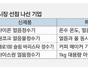 무더운 여름 날려버릴 얼음정수기 대전