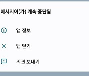 [단독]갤럭시폰서 메시지-구글 앱 충돌 오류…"업데이트로 해결 가능"