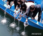 부산 앞바다 어린 감성돔 방류