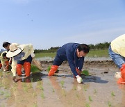 9년째 직접 농사지어 나누는 완주군 용진읍 ‘사랑의 쌀 모내기 행사’