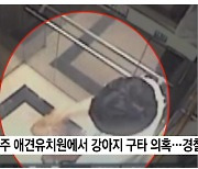 애견유치원서 구타 의혹, 피해 강아지 ‘안구 파열’…CCTV 확인해보니 용의자는?