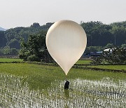 모내기 마친 논에서 발견된 대남전단