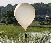 모내기 마친 논에서 발견된 대남전단