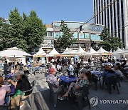 숭례문 앞 광장 수제 맥주 축제