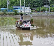 하동군, 고품질 쌀 생산 지원에 21억 투입