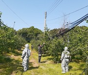 보령시, 과수화상병 방제 약제 무상 공급