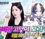 모바일 RPG '캣 판타지' 출시