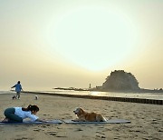 반려동물 운동회 열린다…내달 8일 태안 꽃지해변서 개최