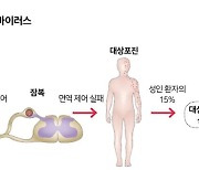 인간 DNA에 숨겨진 바이러스의 흔적, 잠복 바이러스의 공격 [이환석의 알쓸유이]