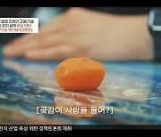 [대경튜브] 상주 곶감맨 외