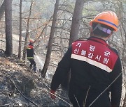 가평군 설악면 야산서 불, 90분만에 진화…원인·피해조사