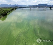 여름철 낙동강 녹조 막아라…경남도, 오염원 신속 제거대책 수립