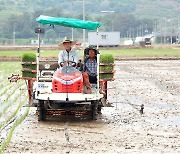 [동정] 안병구 밀양시장, 농사현장서 직접 모내기하며 농민 격려