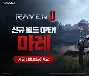 넷마블 MMORPG '레이븐2', 하루 만에 서버 추가 열기