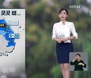 [라인W 날씨] 내일 가끔 비…오후~밤 강원, 경북 벼락·우박