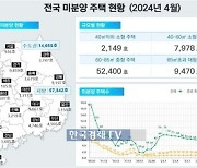 "백약이 무효"…먼지 쌓인 주택 1만3,000채 '헉'