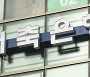 OK저축 PF연체율 15%…1위 SBI는 적자전환