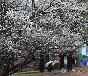 [날씨] 흐리고 중부 한때 비·남부 맑음…낮 28도