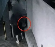 “집 앞으로 뚜벅뚜벅 걸어오더니”…CCTV 보곤 ‘황당’