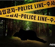 "사람 죽였다"… '애인 살해' 자수 뒤 스스로 목숨 끊은 30대