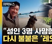 [자막뉴스] "수의사에 안락사 부탁" 강형욱 발언 후폭풍...또 난처한 상황