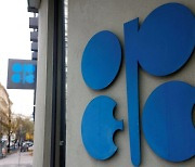 사우디, OPEC+ 회의 앞두고 일부 회원국 장관들 소집..."내년 증산 예고"