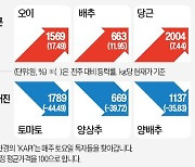 토마토·양배추값 모처럼 안정세