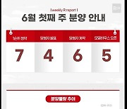 다음주 3천700가구 분양...6월엔 상반기 최대 물량