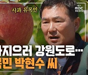 [만나보니] 사과 농사지으러 강원도로···사과 유목민 박현수 씨