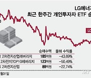 "던져라" 조언 나오는데…불개미들 "2차전지 오른다" 2배 베팅