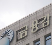 빚 많아 은행 재무평가 받는 기업집단 36곳 지정