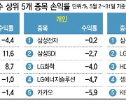 "셀 인 메이 맞았네" 씁쓸한 개미…AI 꽂힌 외국인 '미소'