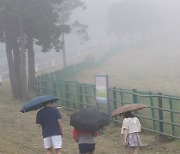 [오늘의 날씨]제주(3일, 월)…오후 산지 소나기