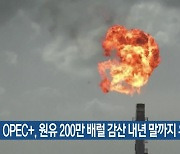 OPEC+, 원유 200만 배럴 감산 내년 말까지 유지