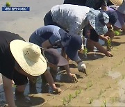 모내기·새참…작은 학교 이색 체험 눈길