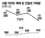 서울아파트 전월세거래 '뚝' 매매로 돌아서는 세입자들