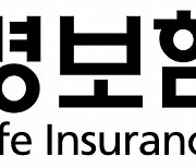 생명·손해보험협회, IFRS17 논란에…"인위적 실적 조작 어려워"