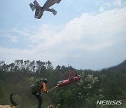 울진 벌목현장서 안전·사망 사고가 잇따라