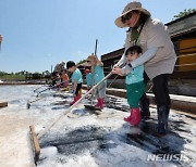 염전 체험하는 어린이들