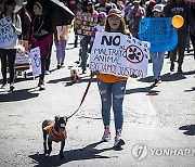 BOLIVIA ANIMAL ABUSE PROTEST