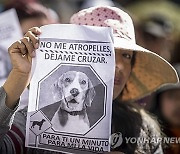 BOLIVIA ANIMAL ABUSE PROTEST