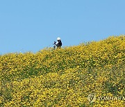 [내일날씨] 대부분 낮 25도 이상·서울 29도…큰 일교차