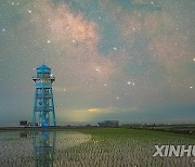 #CHINA-HEILONGJIANG-PADDY FIELDS-NIGHT VIEW (CN)