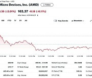 엔비디아 5% 급등했지만 AMD는 2% 하락