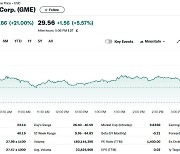 대왕개미 키스 질 게임스톱 투자 인증샷 공개하자 21% 폭등