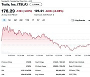 BYD 판매 급증+주주들 머스크 고소, 테슬라 1% 하락